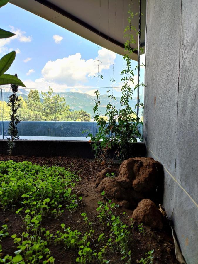 Royal Elysium Leilighet Budva Eksteriør bilde